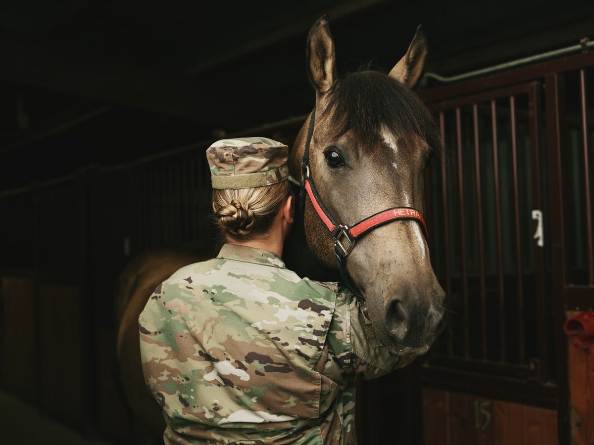 Equine Events for Veterans & First Responders