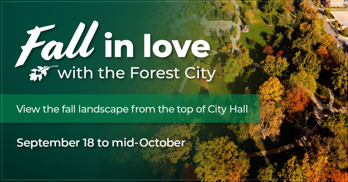 Fall in Love with the Forest City