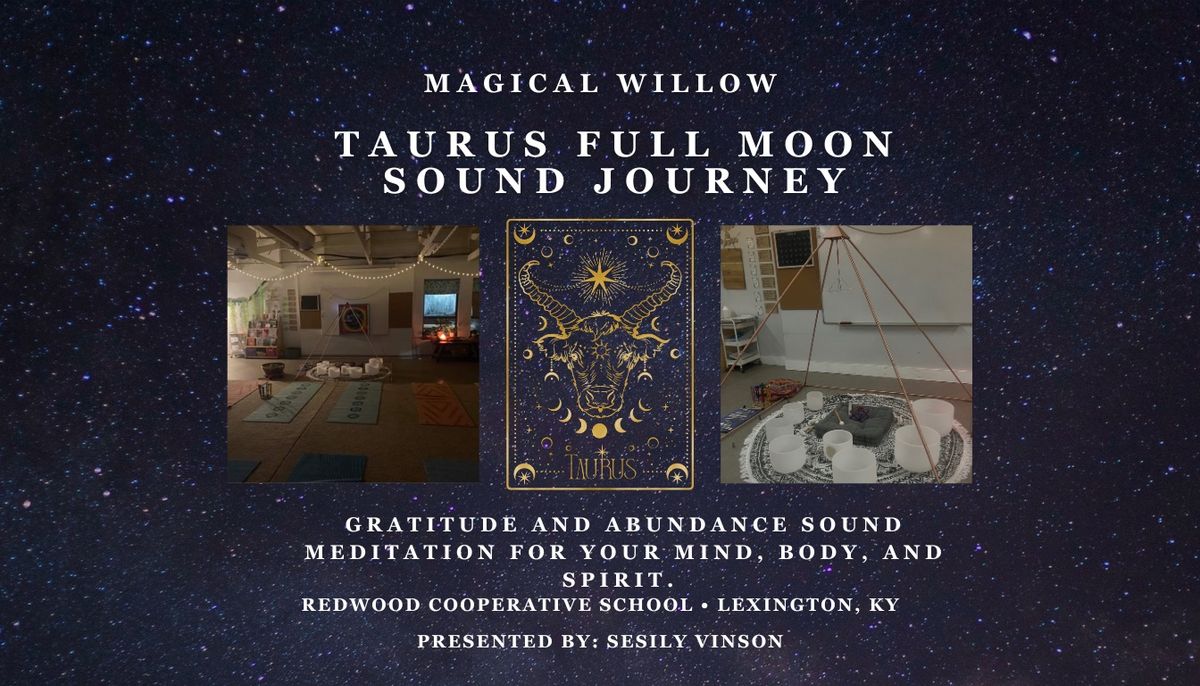 Taurus Full Moon Sound Journey