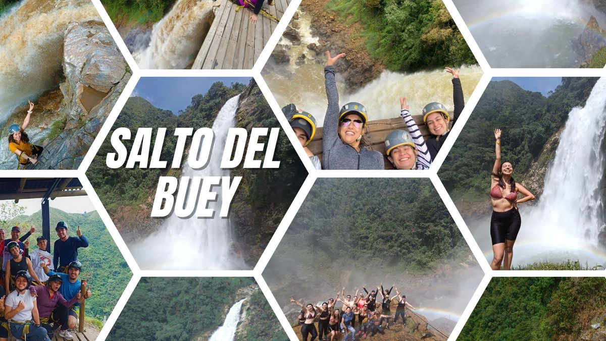 Salto del Buey, canopy y naturaleza