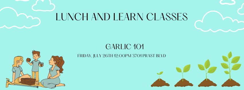 Lunch and Learn Classes