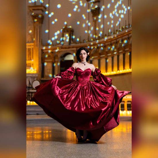 The Ballad of the Fae Courts Ball