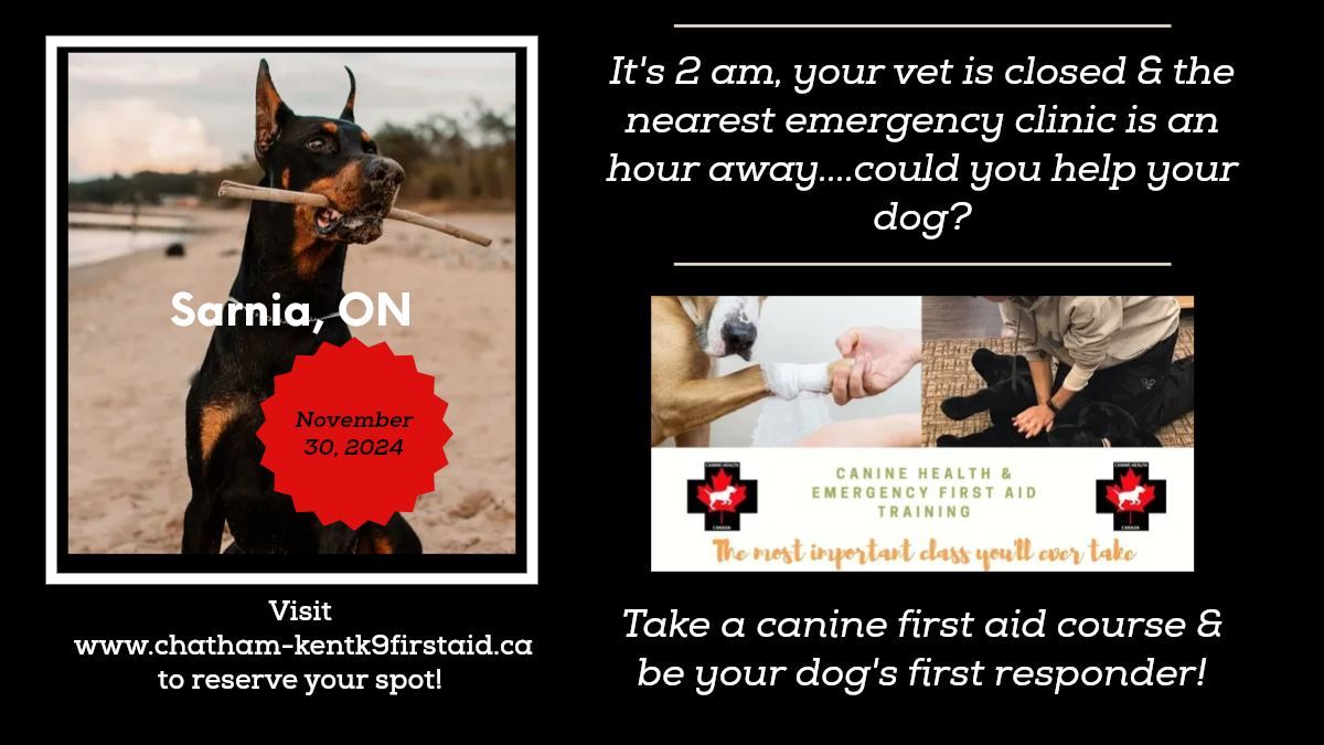 Canine Health & Emergency First Aid - Sarnia