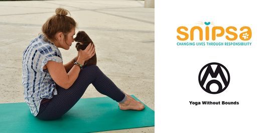 Puppy Noses & Yoga Poses!
