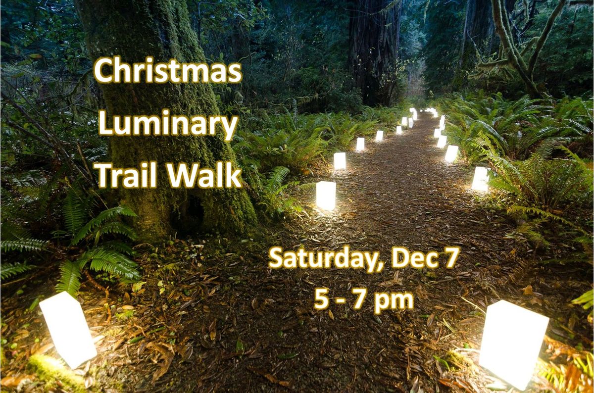 Christmas Luminary Trail Walk