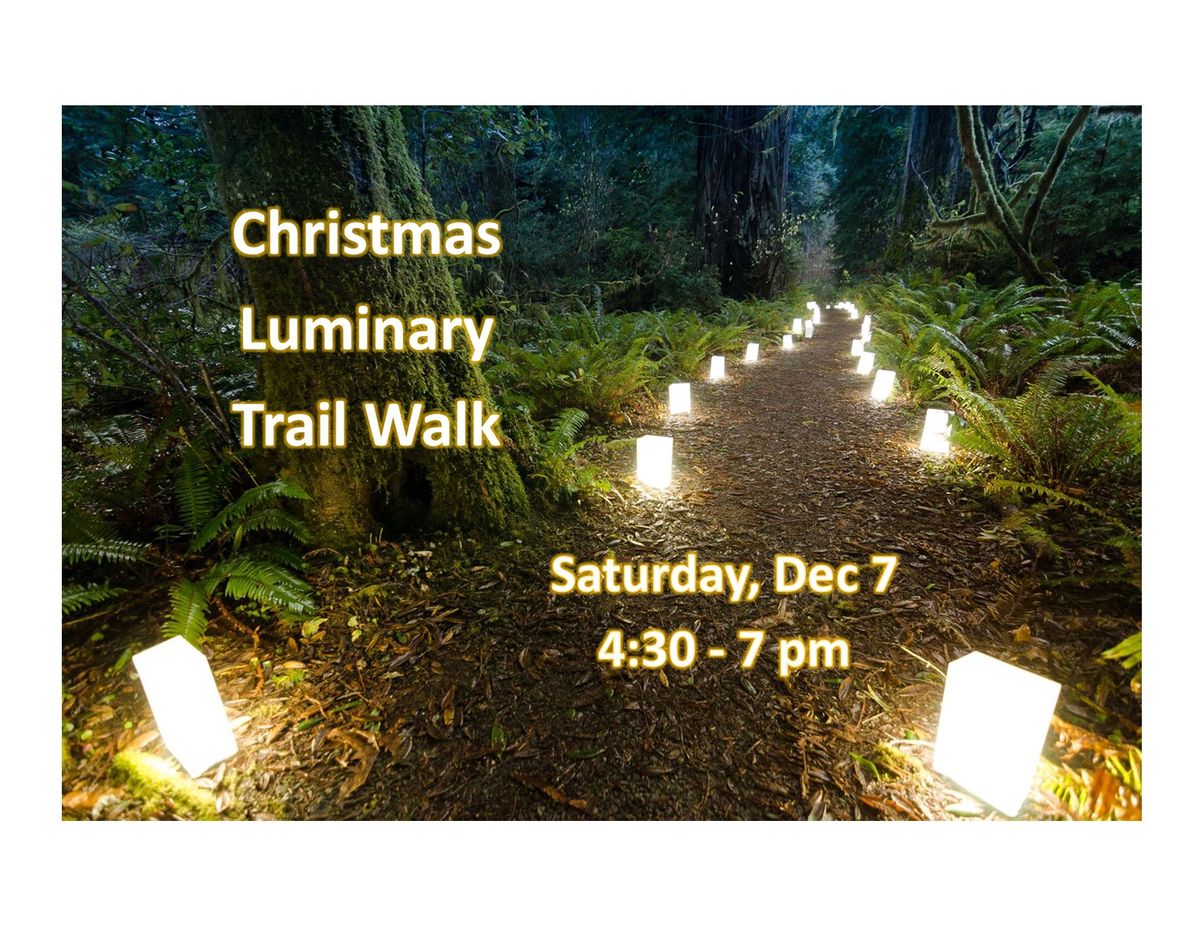 Christmas Luminary Trail Walk