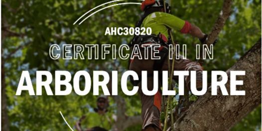 Townsville | AHC30820 Certificate III in Arboriculture