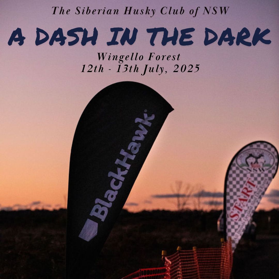 A Dash In The Dark 2025