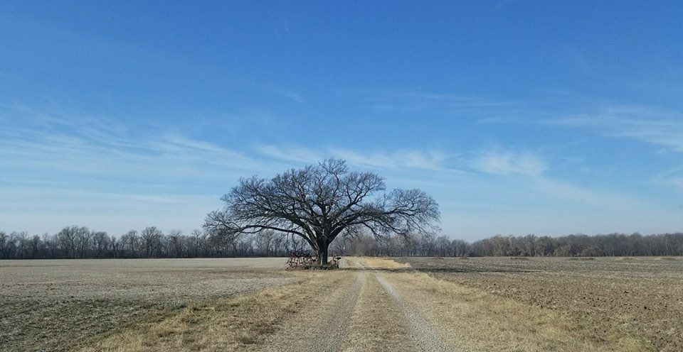 69th Annual Shade Tree Conference