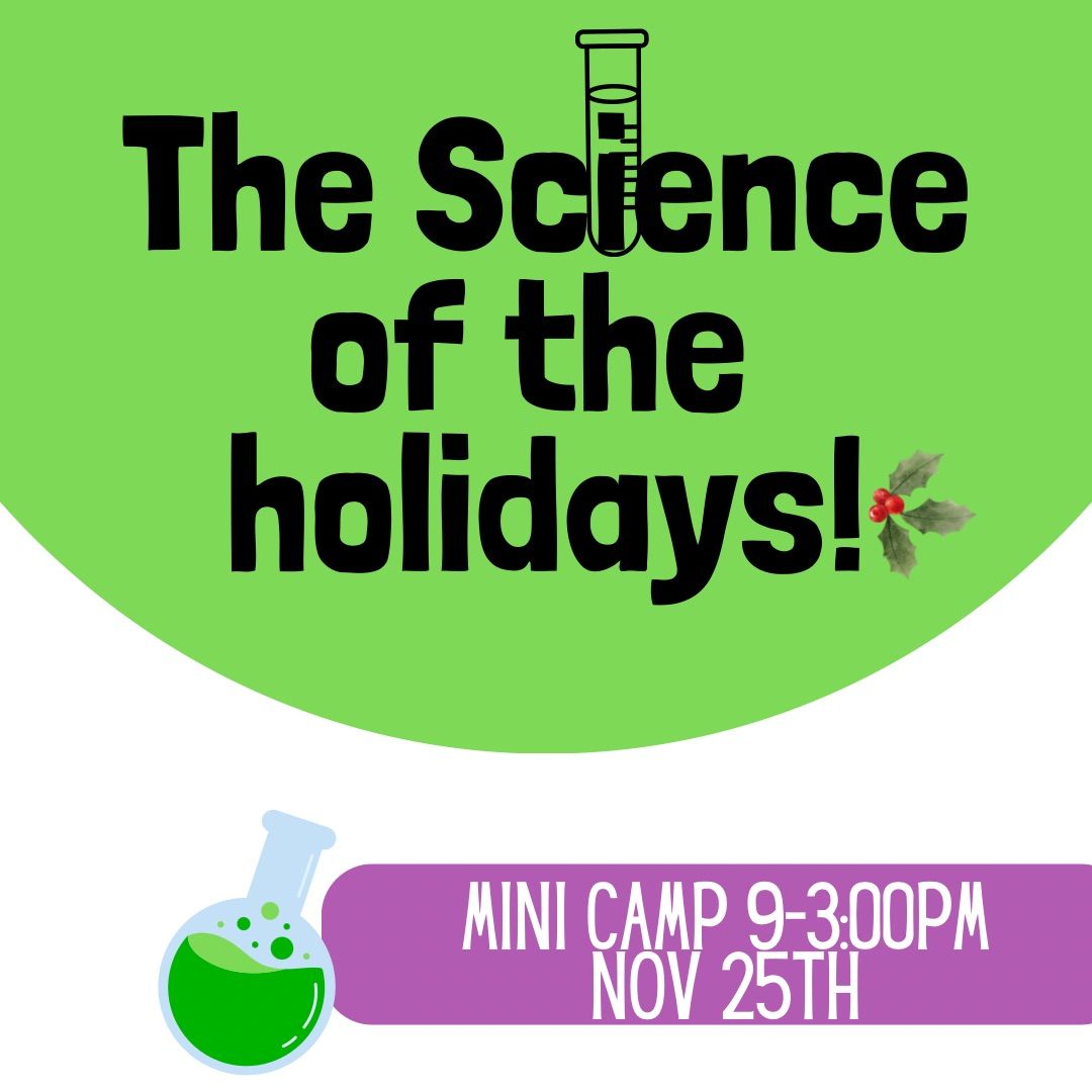 The Science of the Holidays Mini Camp