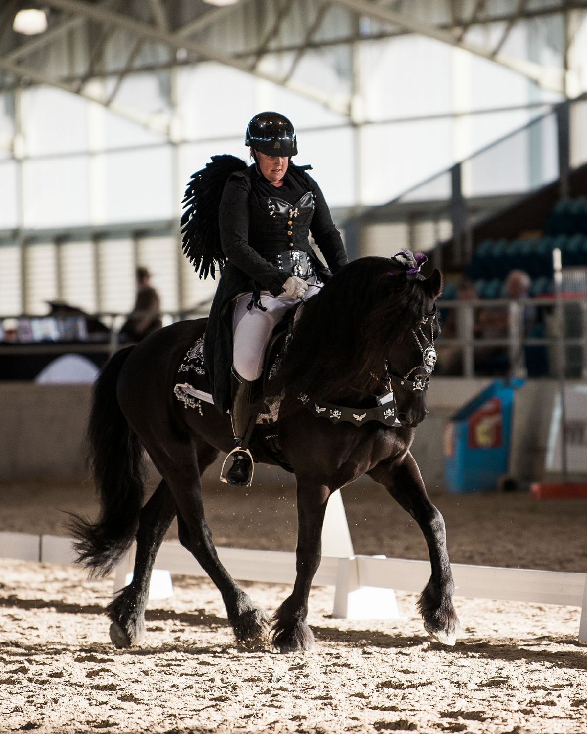 NDHD Twilight Freestyle Dressage Evening 