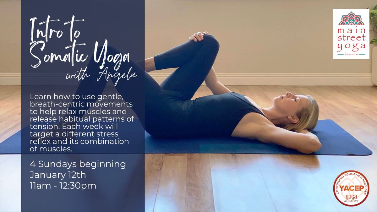 Intro to Somatic Yoga Series