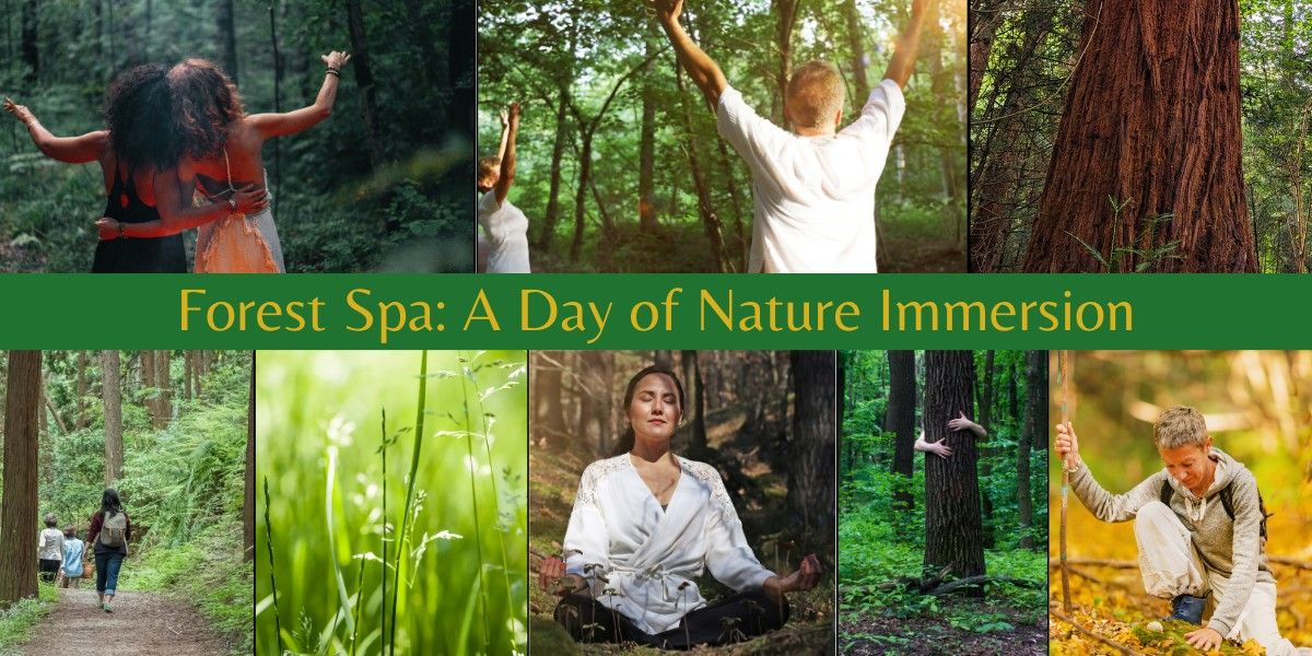 Forest Spa: A Day of Nature Immersion
