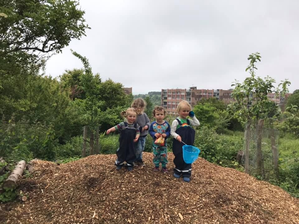 Fledglings at the Orchard