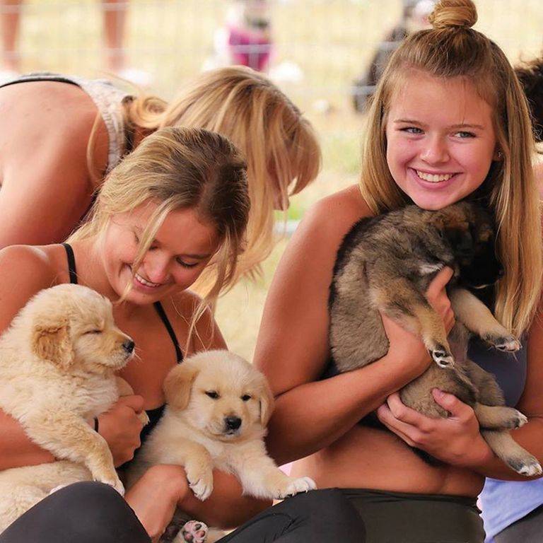 Puppy Yoga in Central London