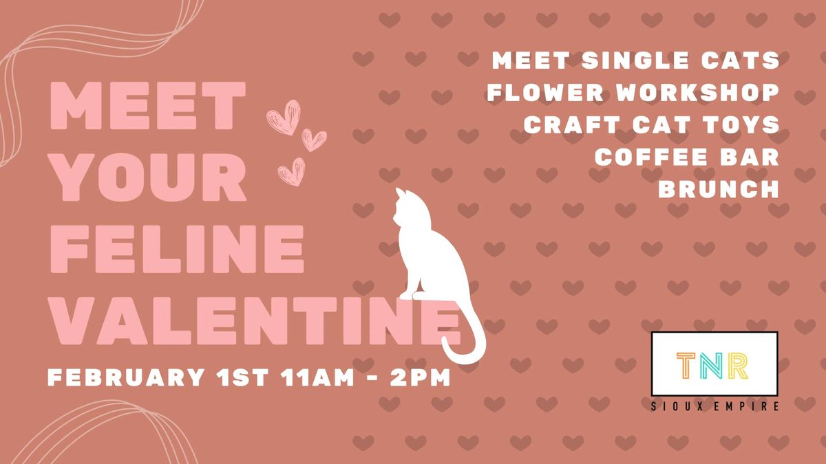 Meet Your Feline Valentine Fundraising Event