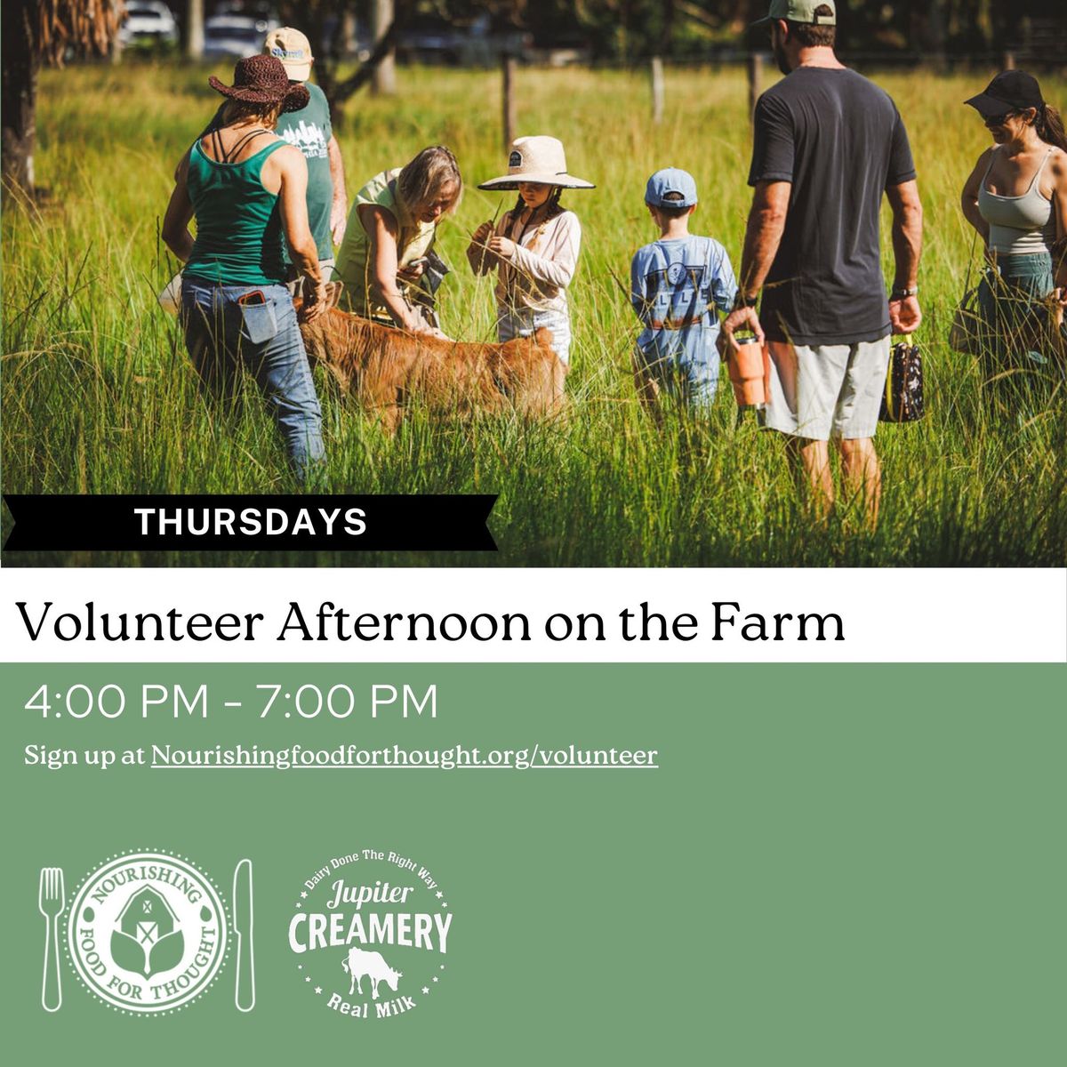 Volunteer\/ Open Farm Thursday Afternoon 4-7 PM Come volunteer, hang out & shop.