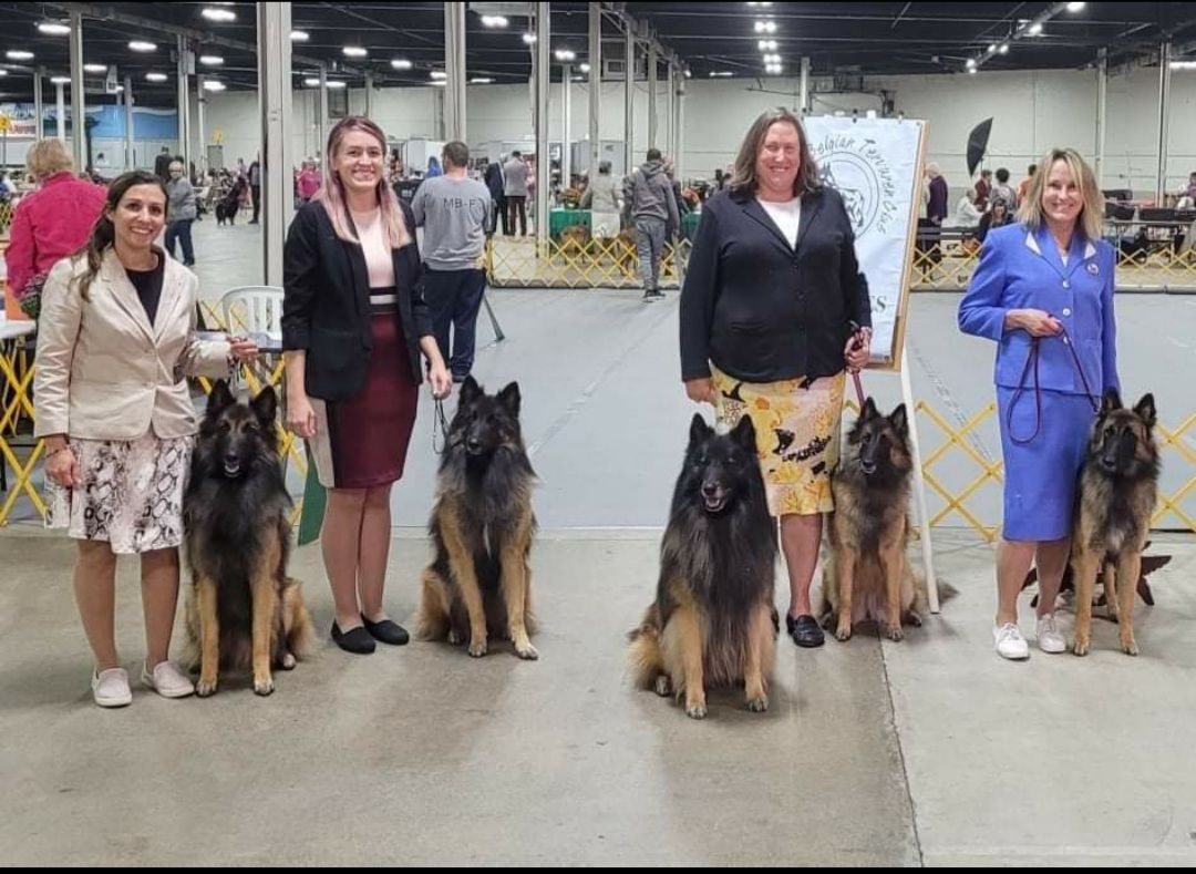 BBTC Specialty Show 