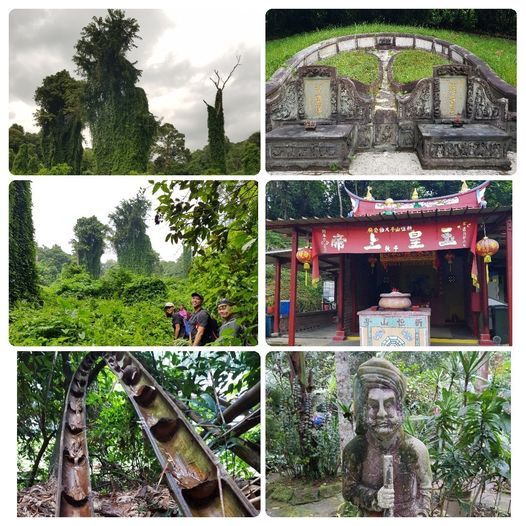 Scenic Jungle Hike to Explore Bukit Brown Cemetery Avatar Giant Trees, Temple, Garden And Tombs.