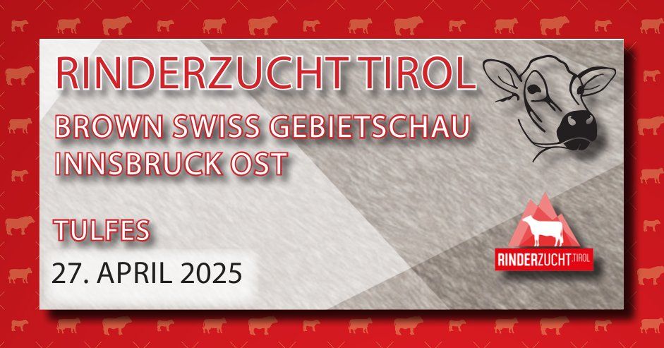 Brown Swiss Gebietsschau Innsbruck Ost