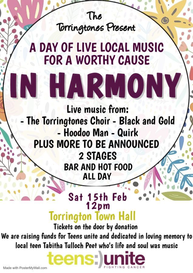 In Harmony - Charity Music Day 