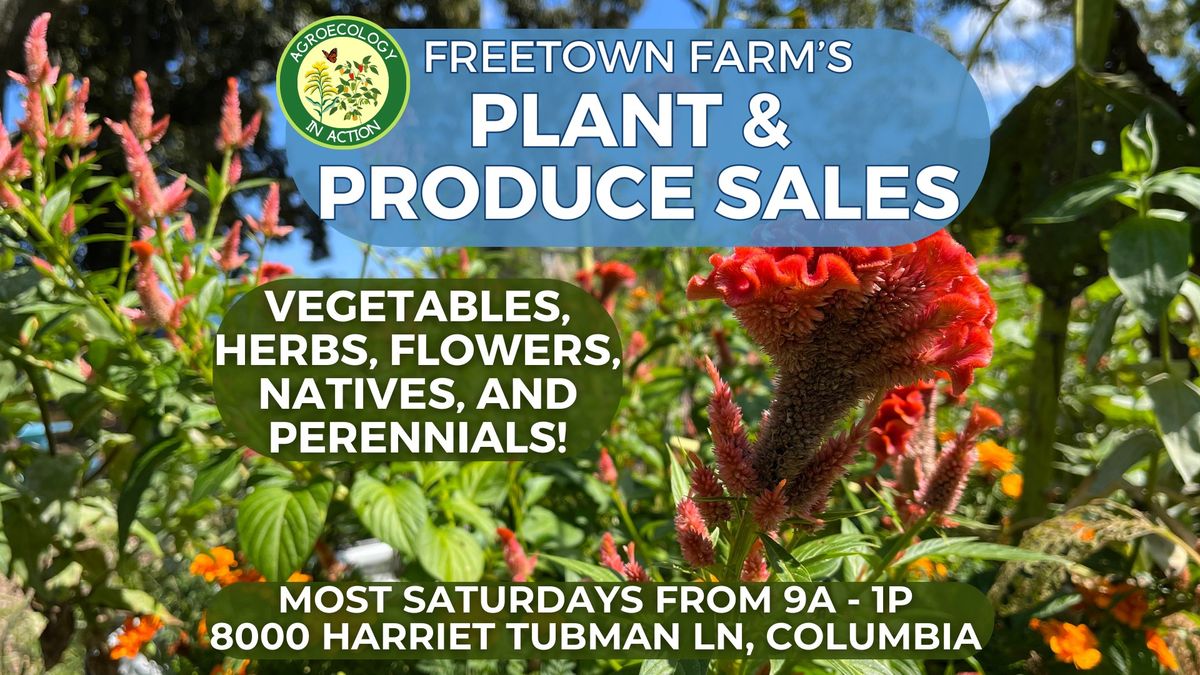 Produce and Plant Sale