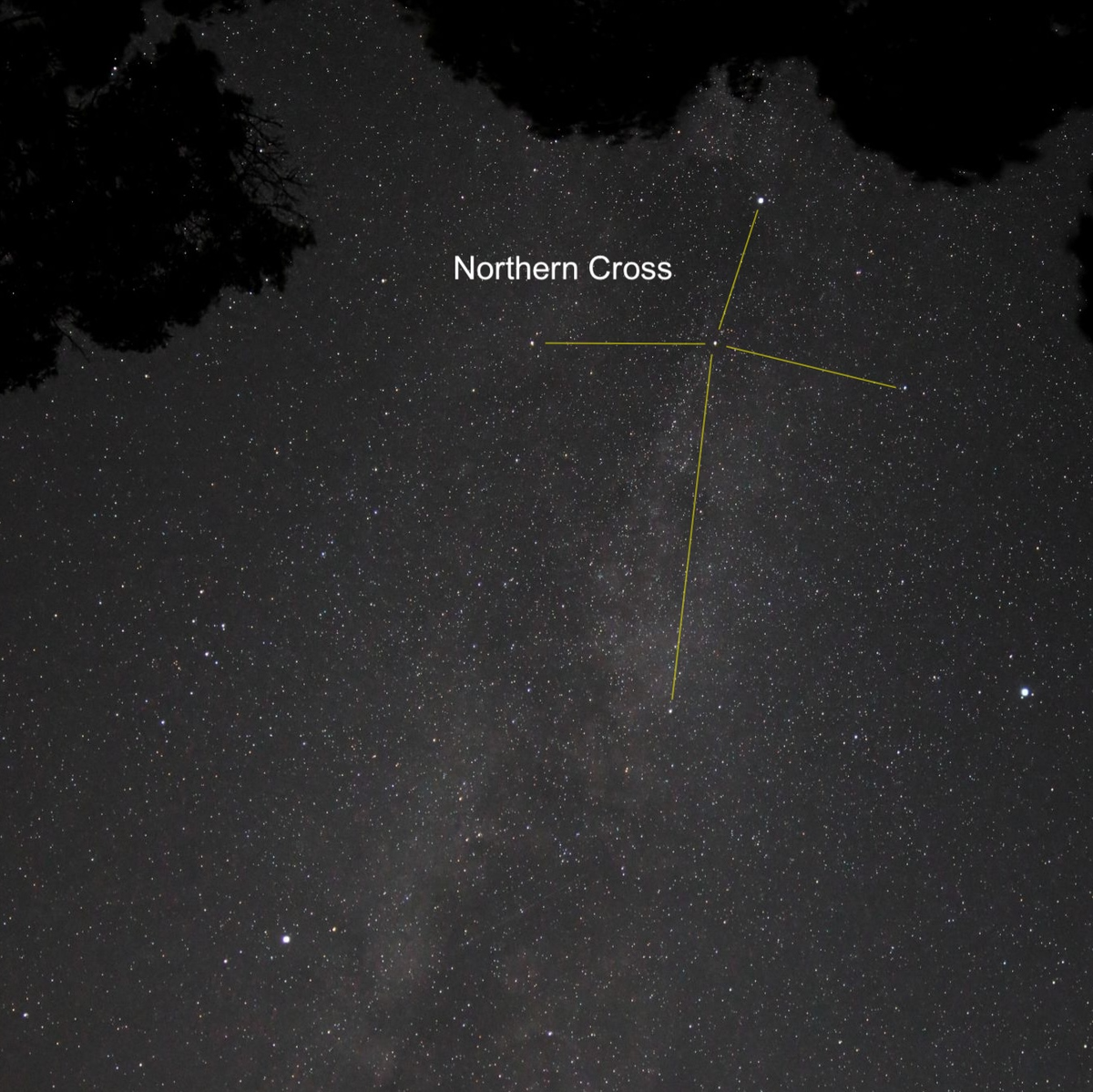 Northern Cross at The Rex Theatre