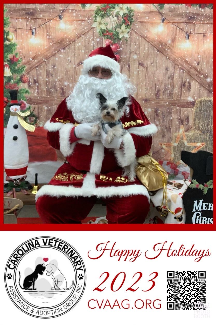 Pet pictures with Santa