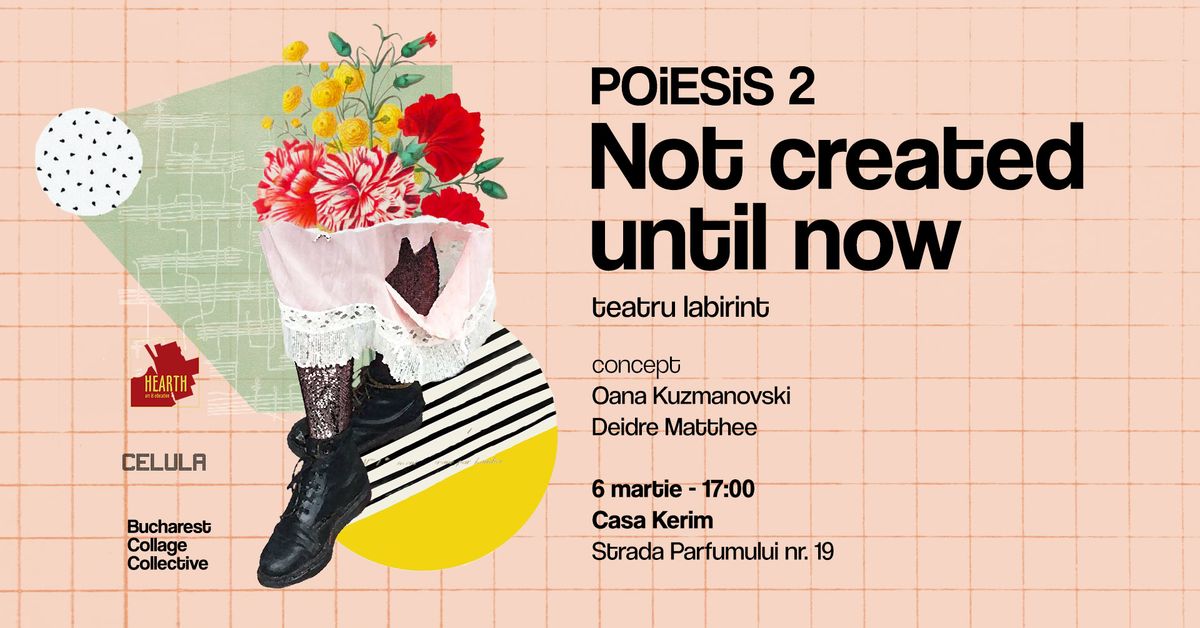 NOT CREATED UNTIL NOW - Teatru labirint