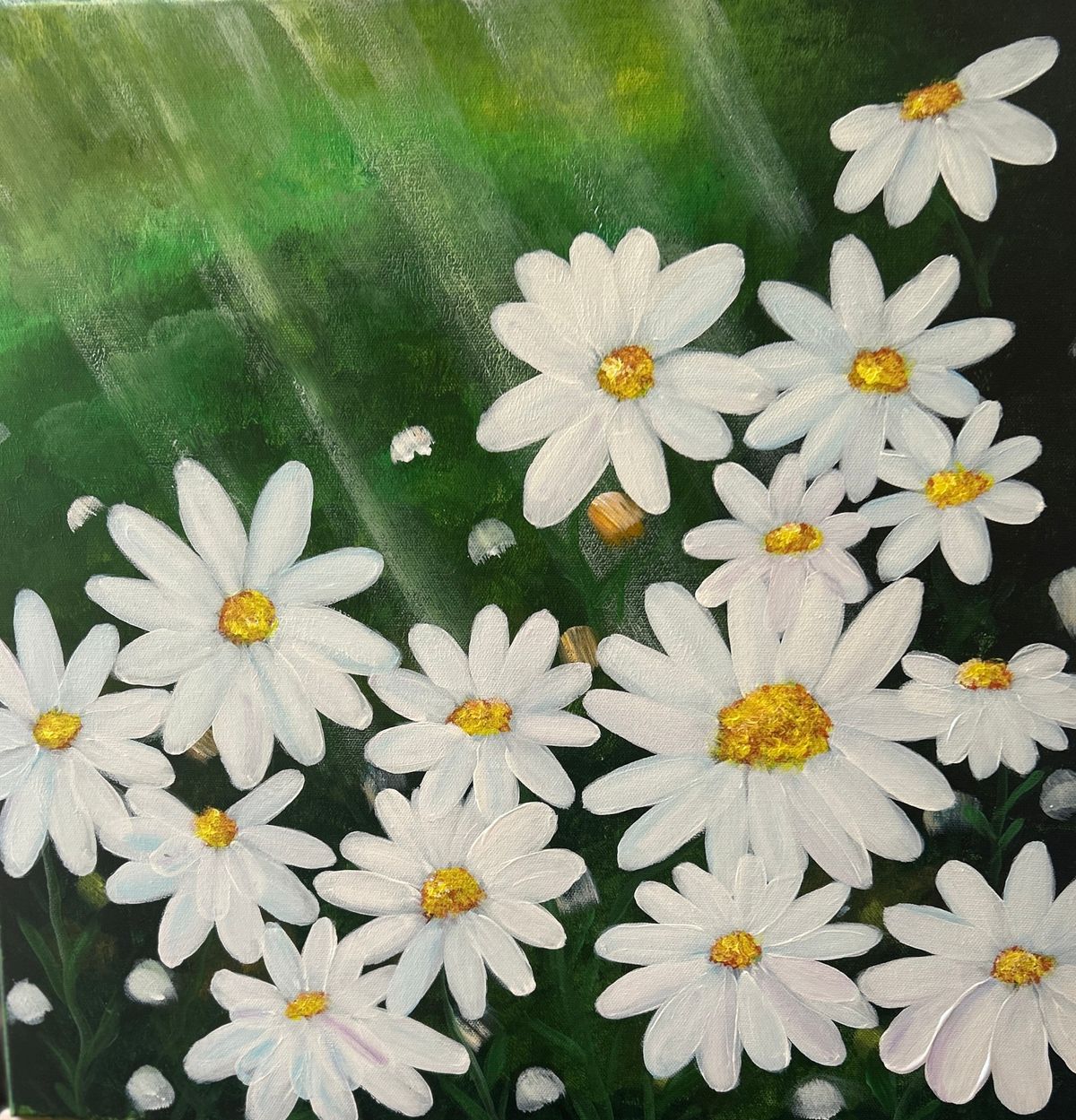 Daisy Workshop