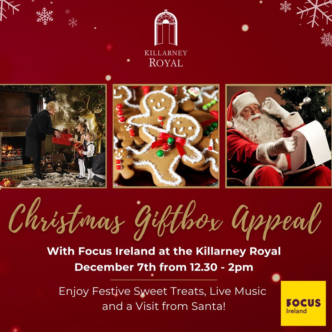 Focus Ireland Children's Christmas Giftbox Appeal