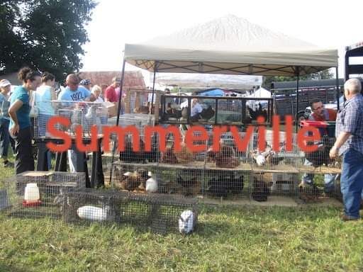 Summerville Animal Swap\/Meet & Greet !!FARMERS MARKET EVENT!!