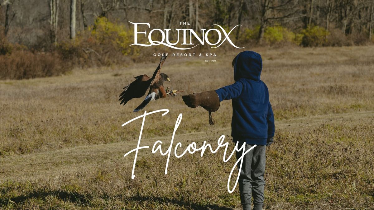 Falconry Experience at Equinox Resort \ud83e\udd85