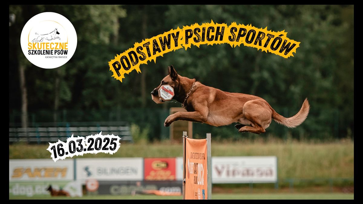 Podstawy Psich sport\u00f3w- kurs grupowy :)