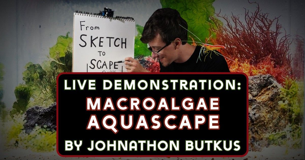 LIVE Aquascaping Demo - Johnathon Butkus teaches Aquascaping with Macroalgae