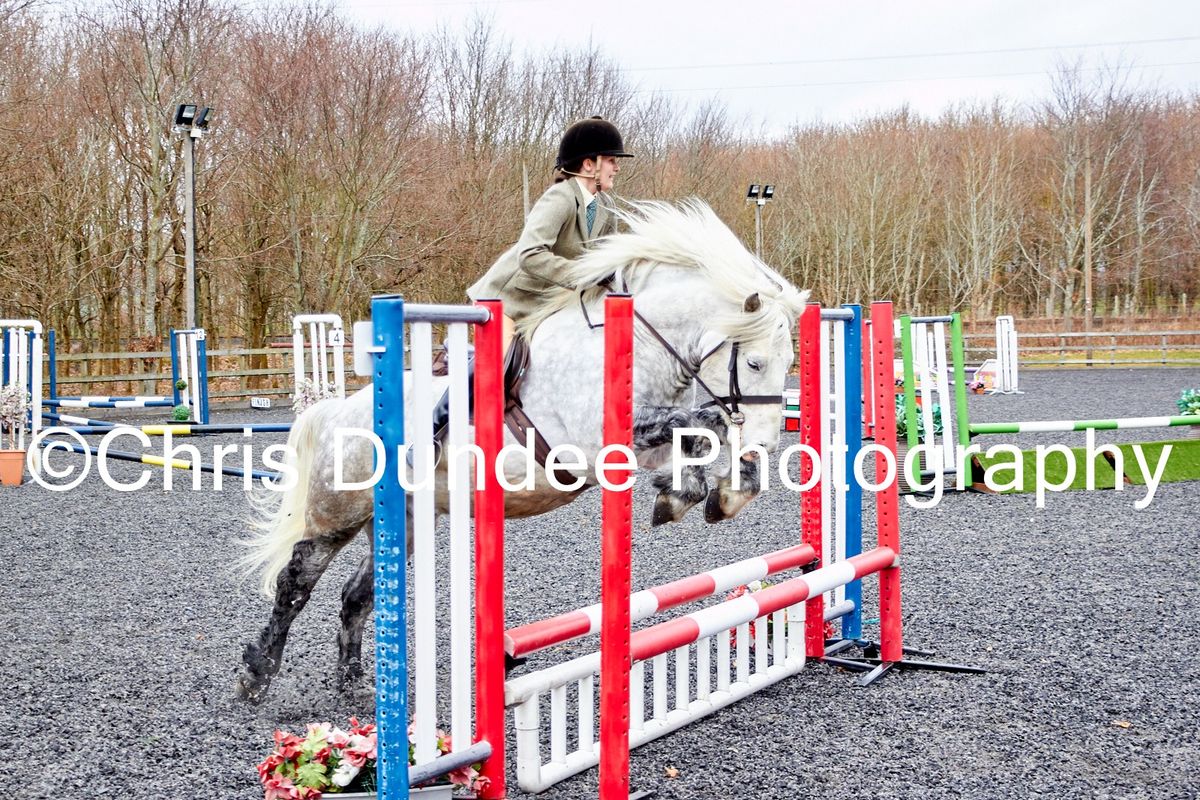 Clear Round Show Jumping