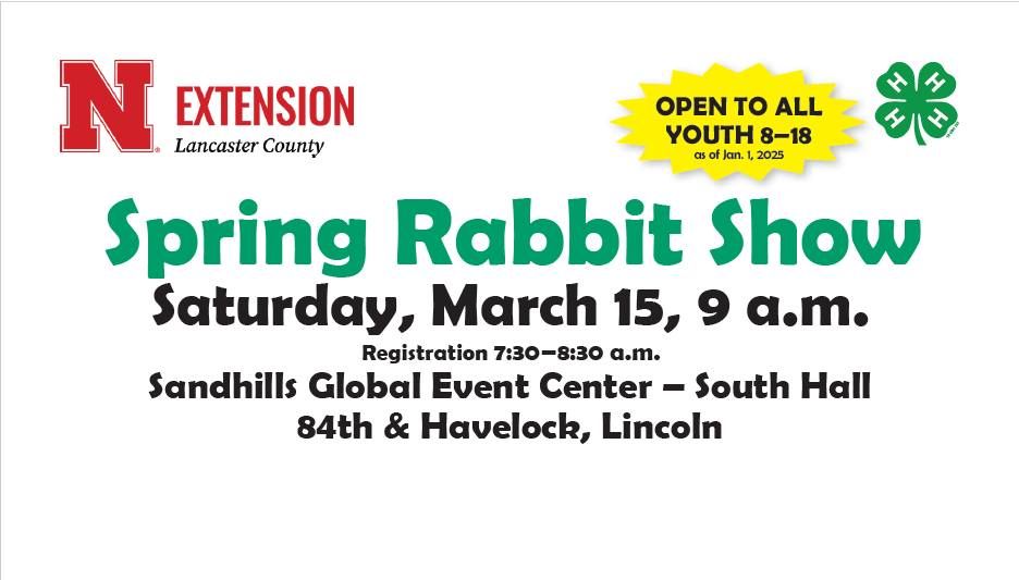 4-H Rabbit Show