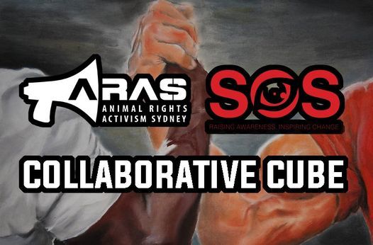 ARAS & SOS Collaboration Cube - Pitt Street Mall, Pitt Street Mall ...