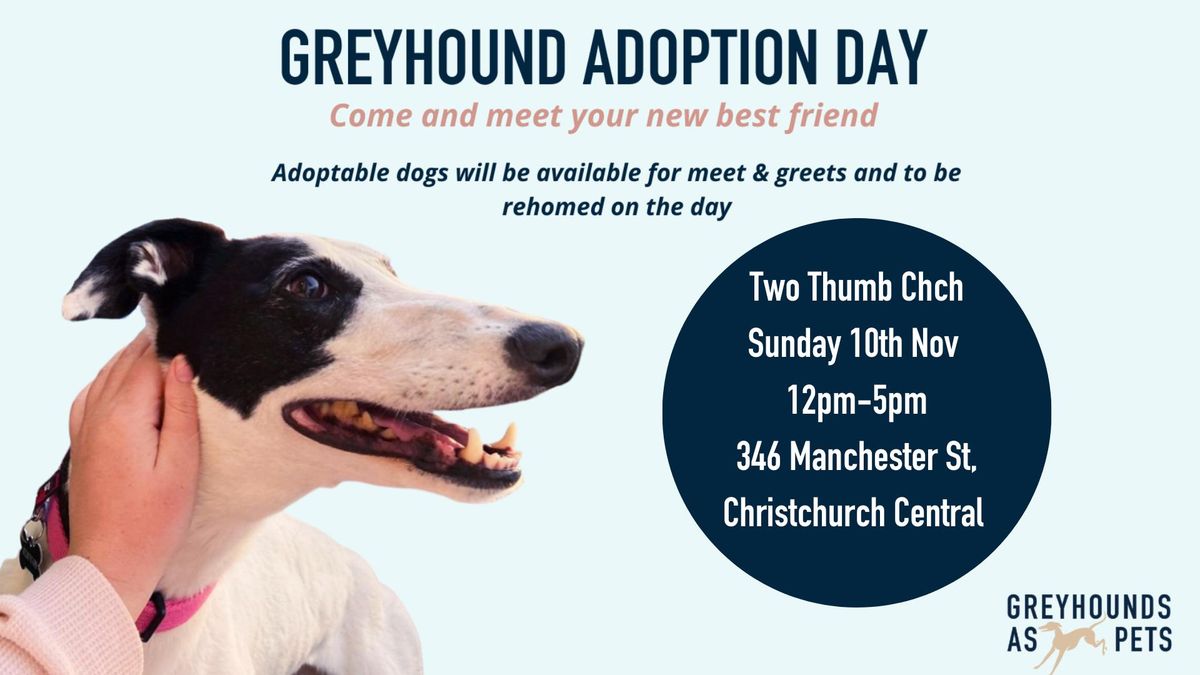 Christchurch Adoption Day! 