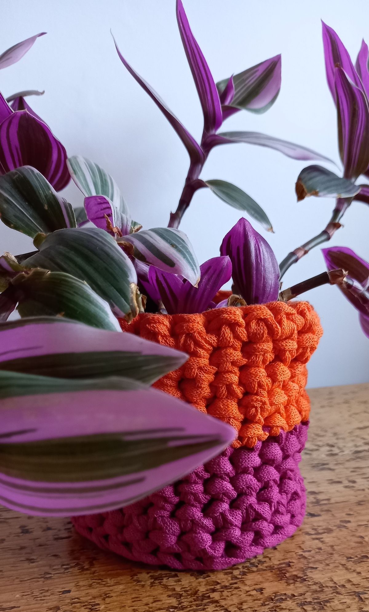 Crochet Plant Pots and Bowls - Lauriston Castle Adult Creative Workshops