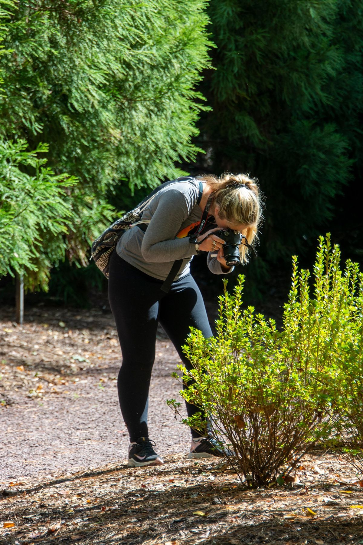 Beginner's Photography II Class (Shooting in Manual Mode)