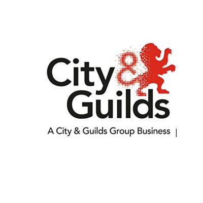 City and Guilds Building Services Team