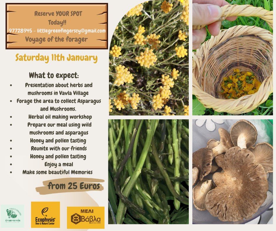 Foraging Workshop