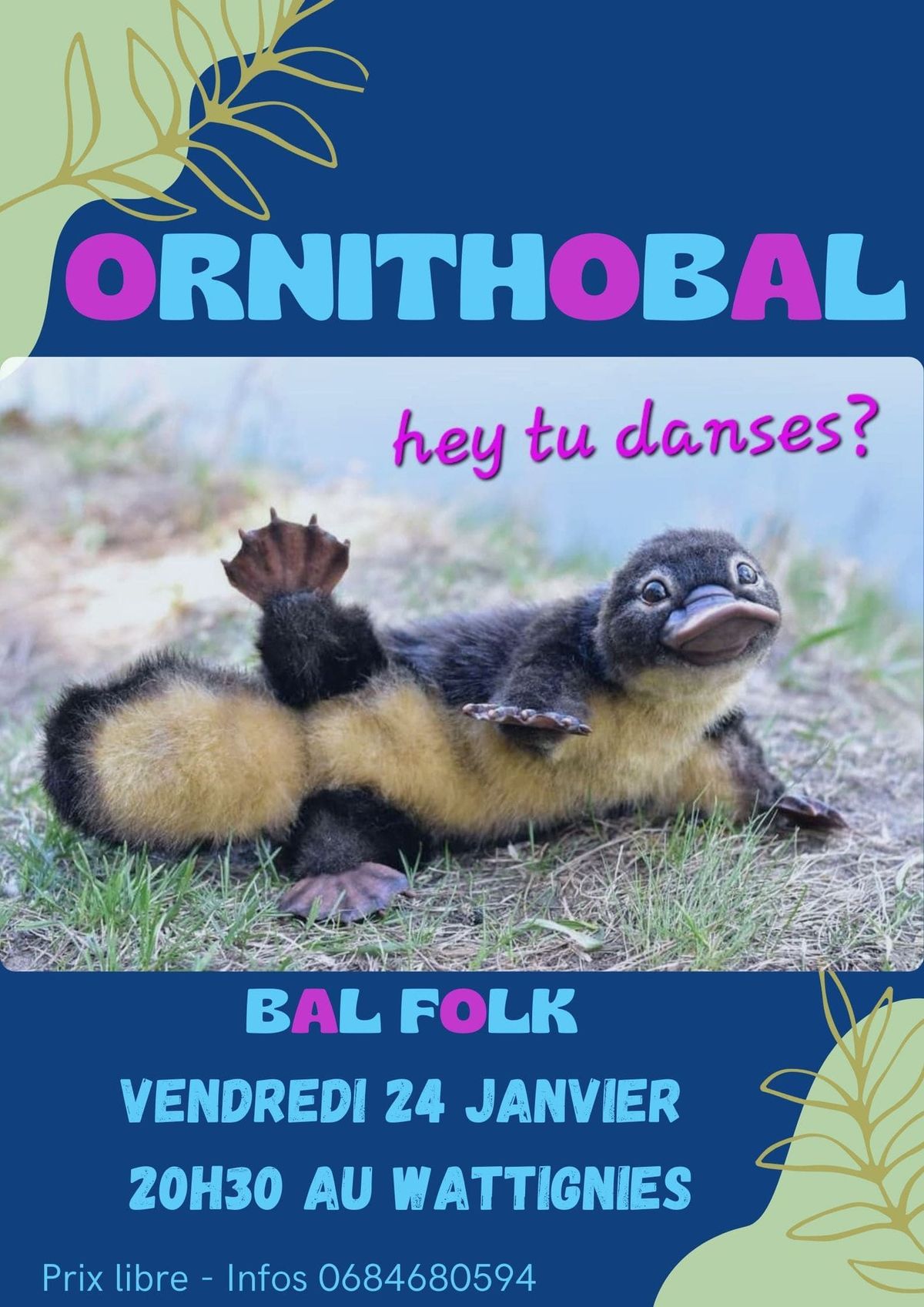 Ornithobal au Wattignies !