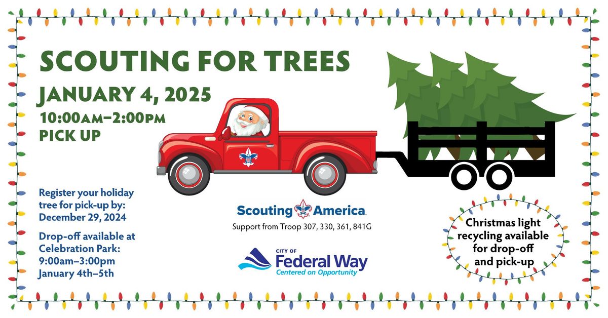 SCOUTING FOR TREES: Christmas Tree & Light Recycling