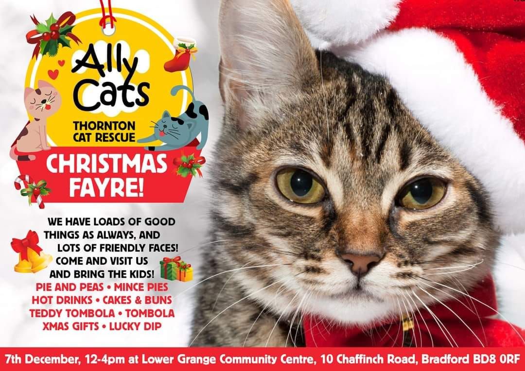 Ally Cats Xmas Fayre