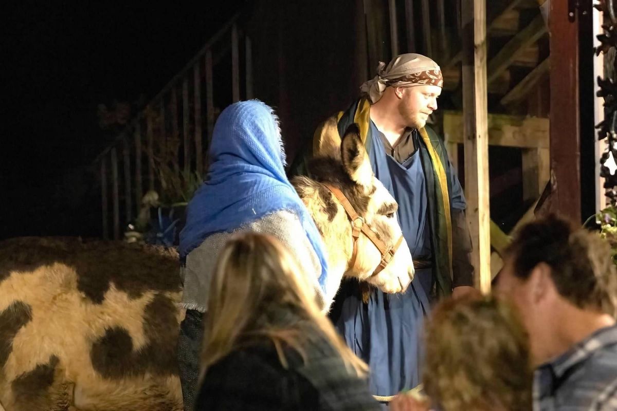 Interactive, live, Nativity Play, 1st night