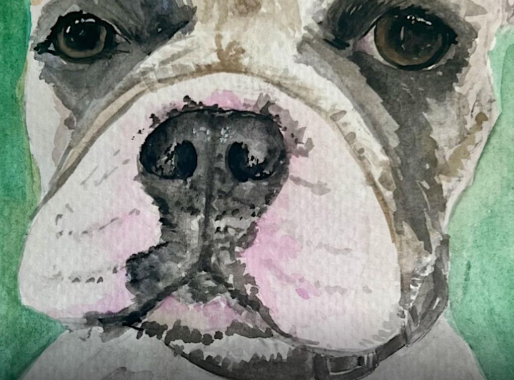 Paint & Sip Pet Portraits: Watercolor Theme