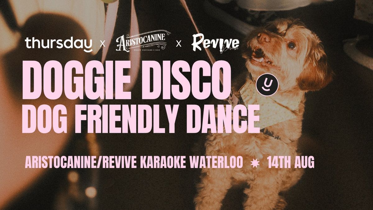 Thursday | Aristocanine | Waterloo