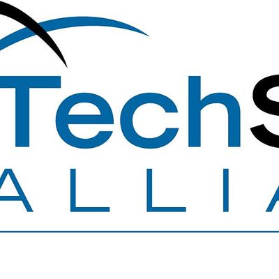 TechServe Alliance Dallas Chapter